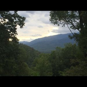 Meet your Posher, Hayden